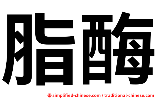 脂酶
