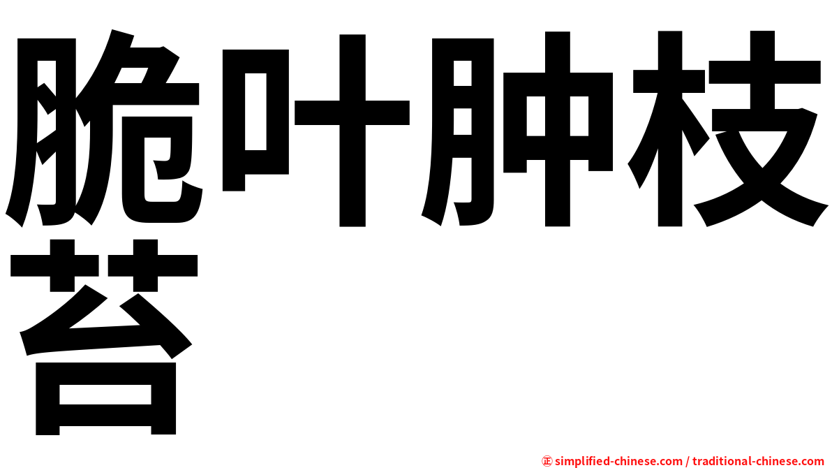 脆叶肿枝苔