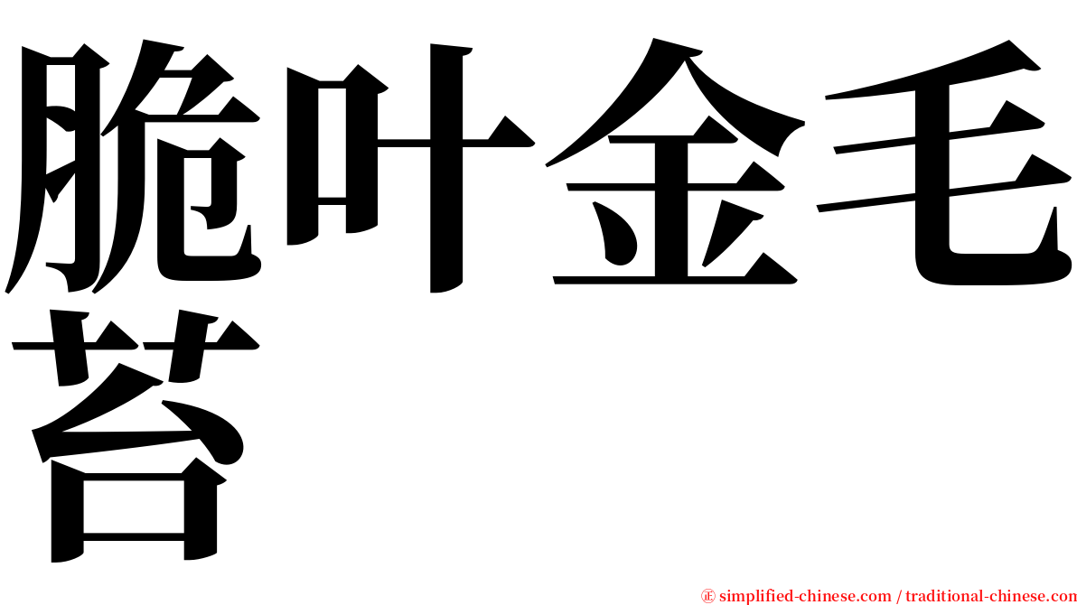 脆叶金毛苔 serif font