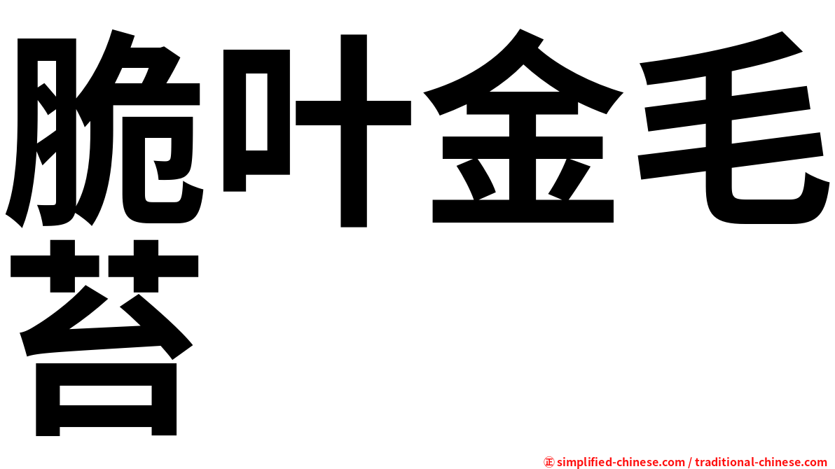 脆叶金毛苔