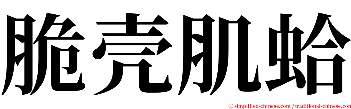 脆壳肌蛤 serif font