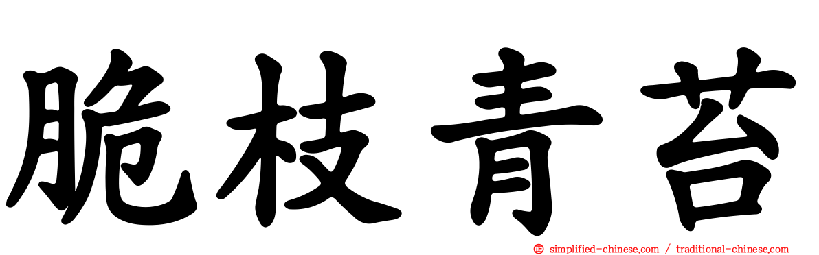 脆枝青苔