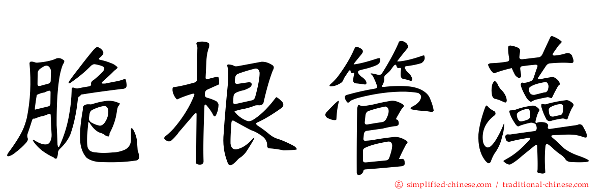脆根管藻