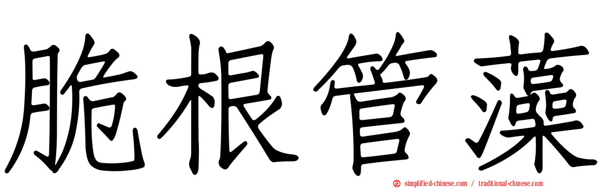脆根管藻