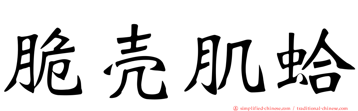 脆壳肌蛤