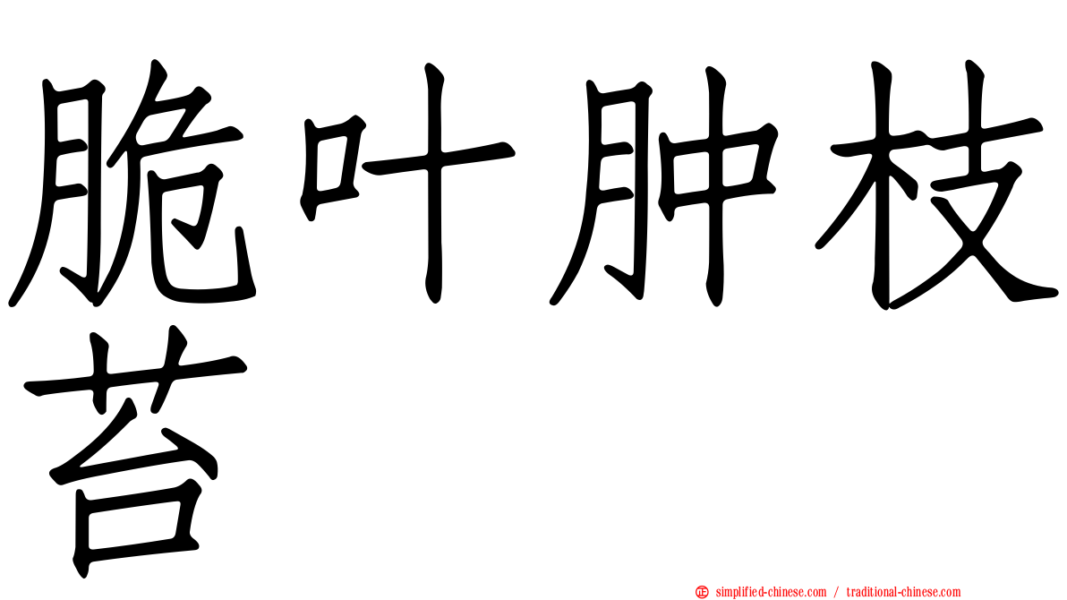 脆叶肿枝苔