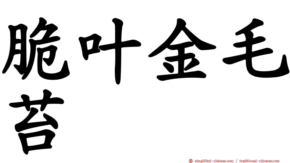 脆叶金毛苔