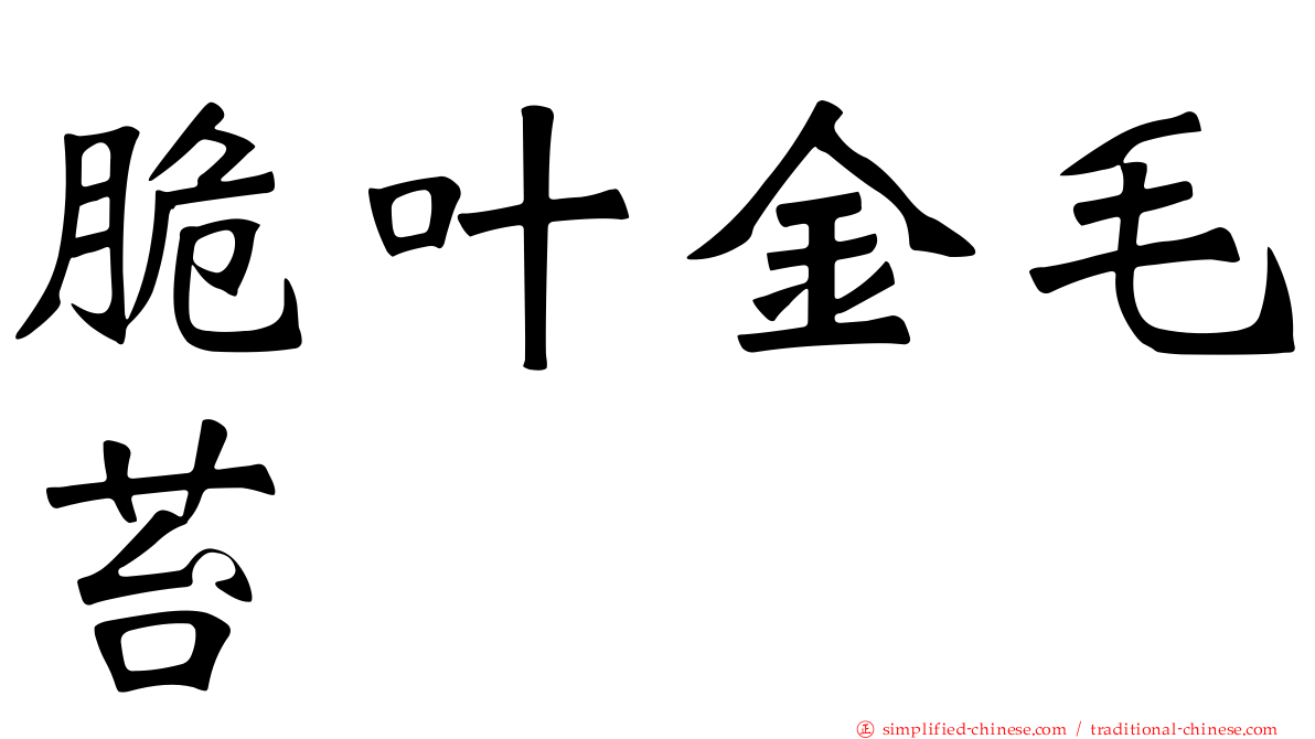 脆叶金毛苔