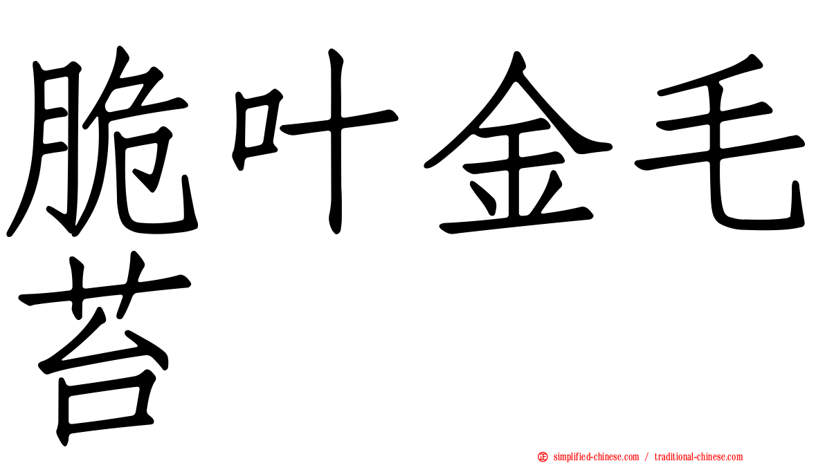 脆叶金毛苔