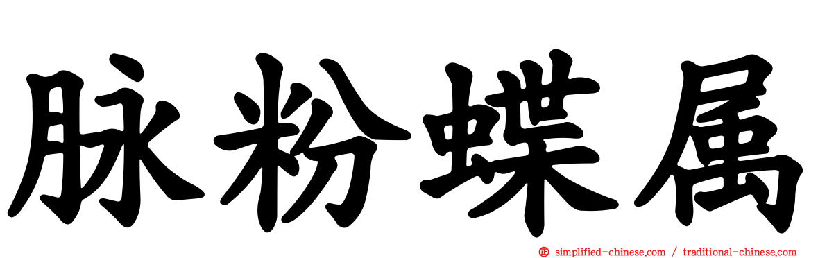 脉粉蝶属