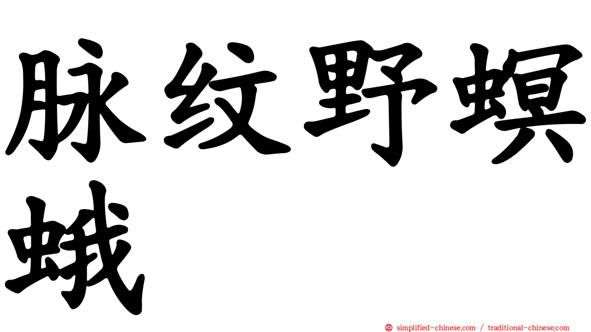 脉纹野螟蛾