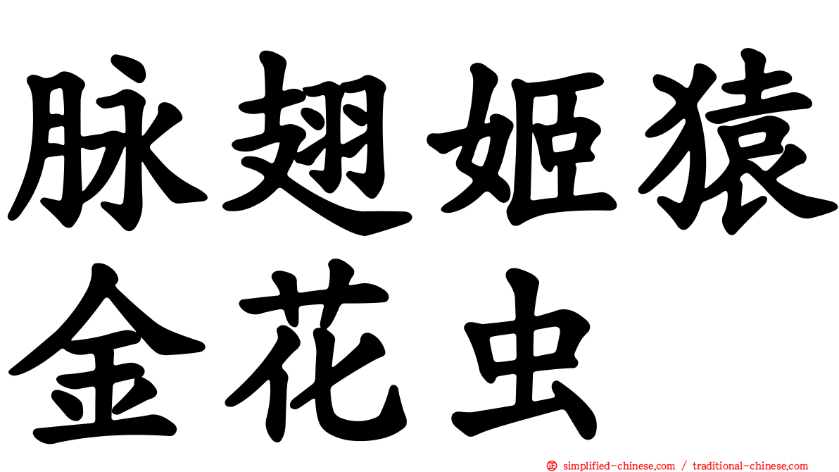 脉翅姬猿金花虫