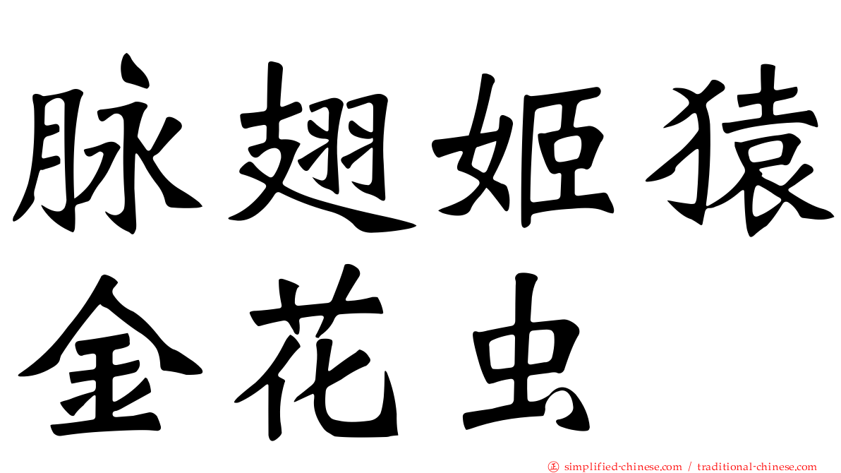 脉翅姬猿金花虫