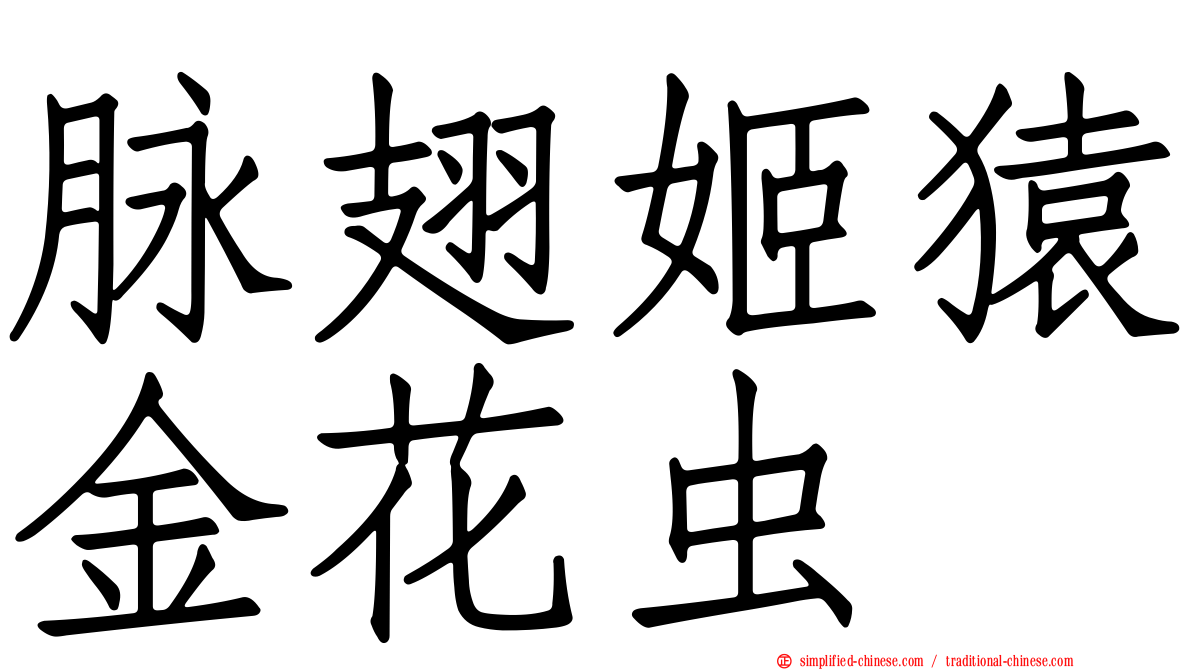 脉翅姬猿金花虫
