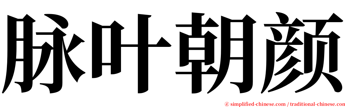脉叶朝颜 serif font