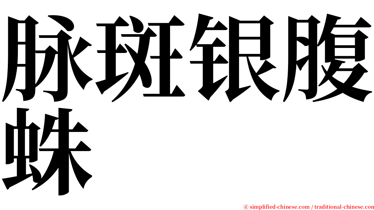 脉斑银腹蛛 serif font