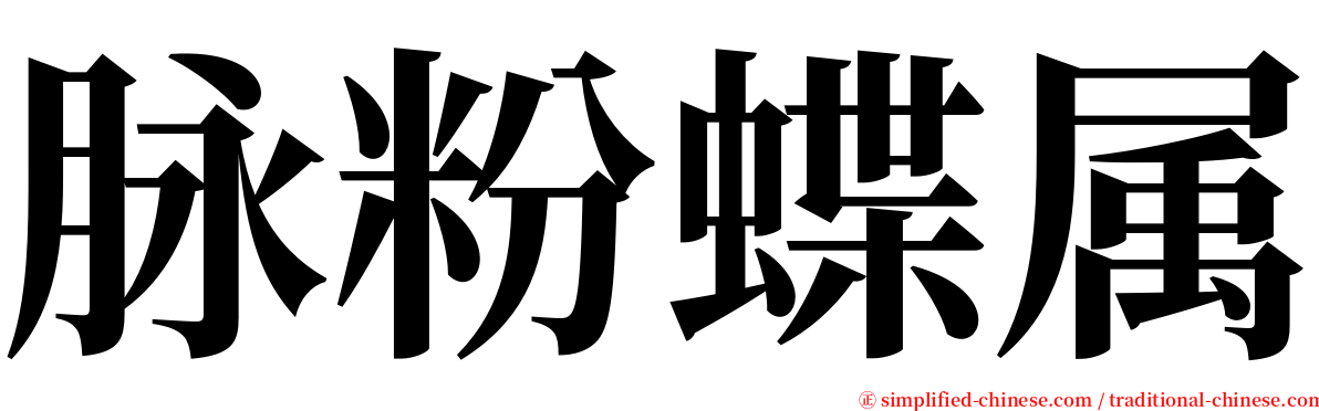 脉粉蝶属 serif font