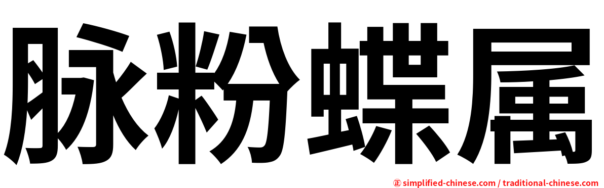 脉粉蝶属