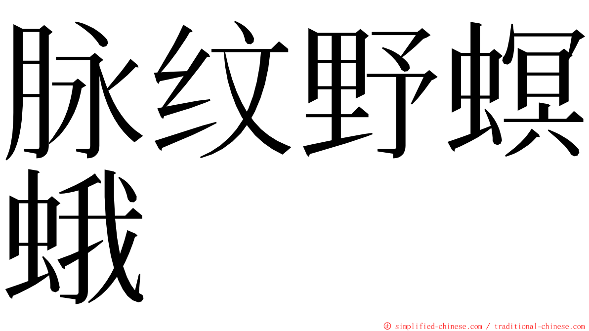 脉纹野螟蛾 ming font