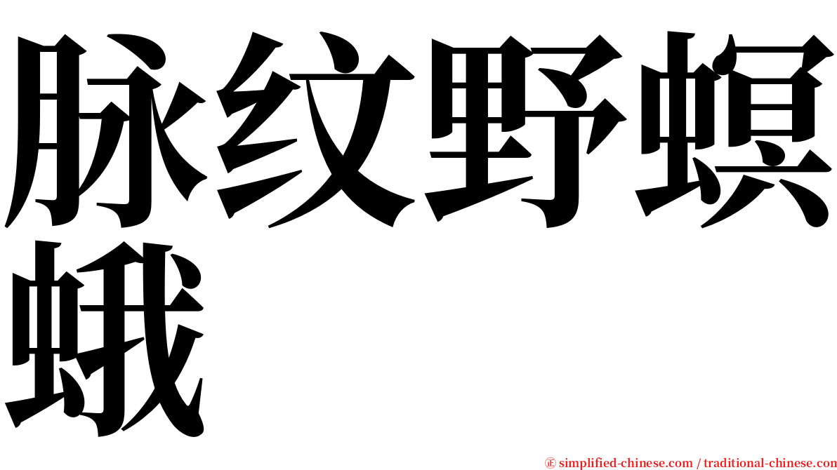 脉纹野螟蛾 serif font
