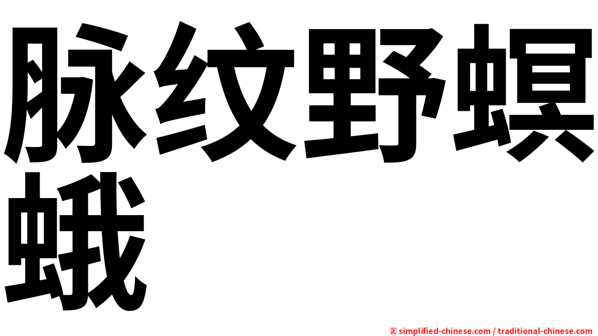 脉纹野螟蛾