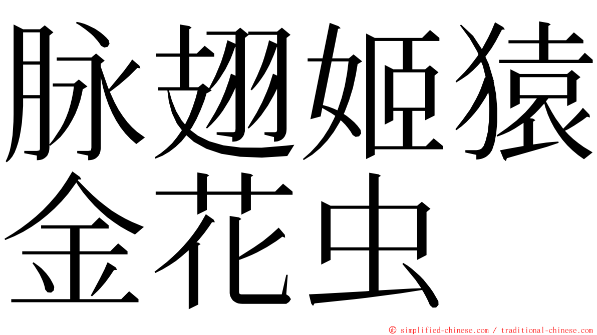脉翅姬猿金花虫 ming font
