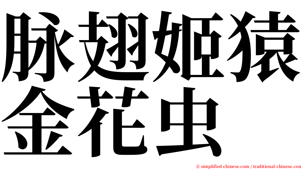 脉翅姬猿金花虫 serif font