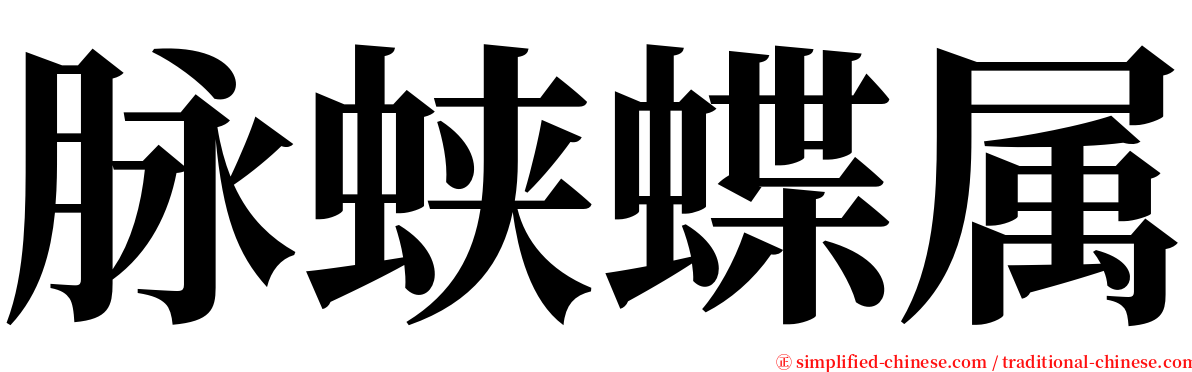 脉蛱蝶属 serif font