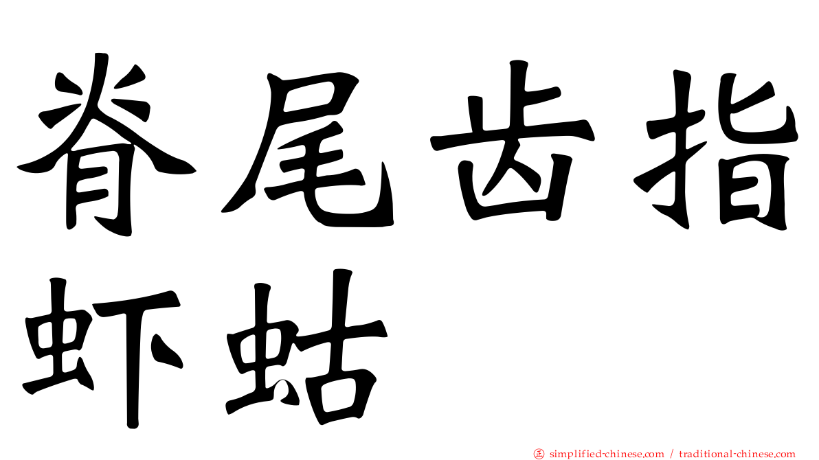 脊尾齿指虾蛄