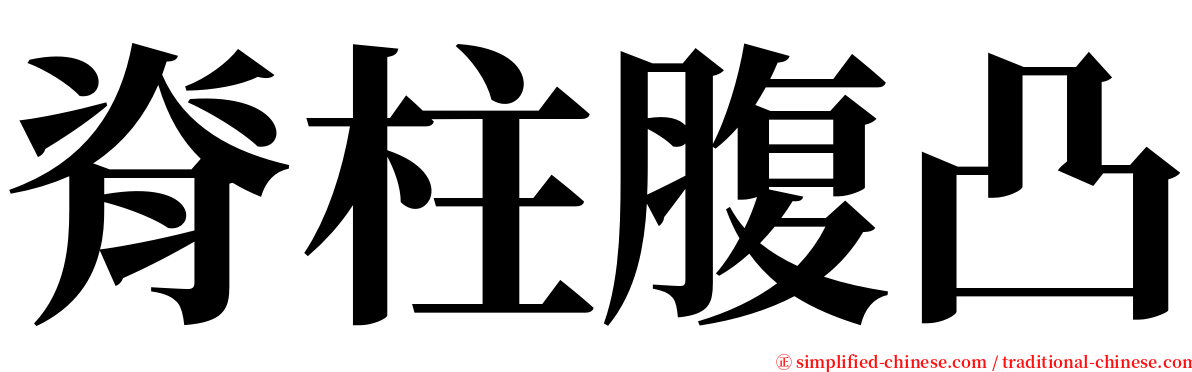 脊柱腹凸 serif font