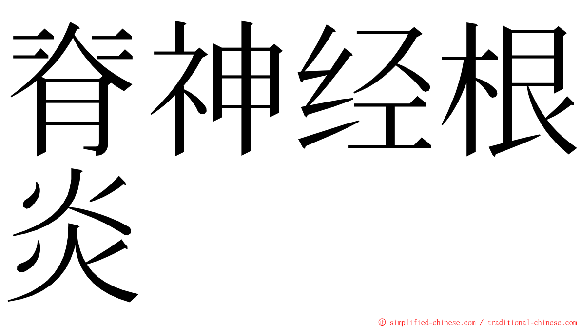 脊神经根炎 ming font