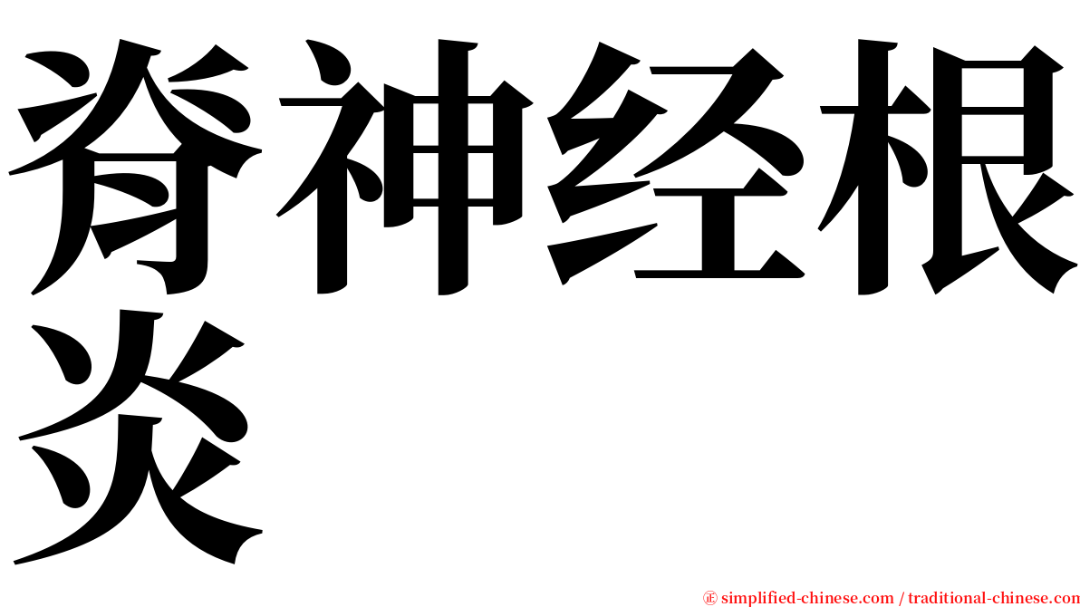 脊神经根炎 serif font