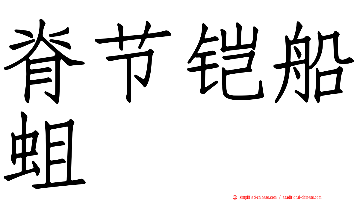 脊节铠船蛆
