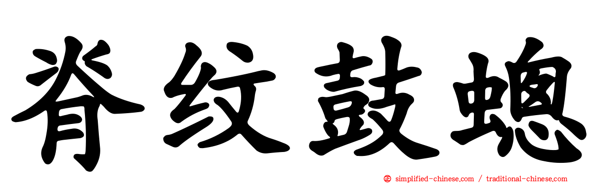 脊纹鼓蟌