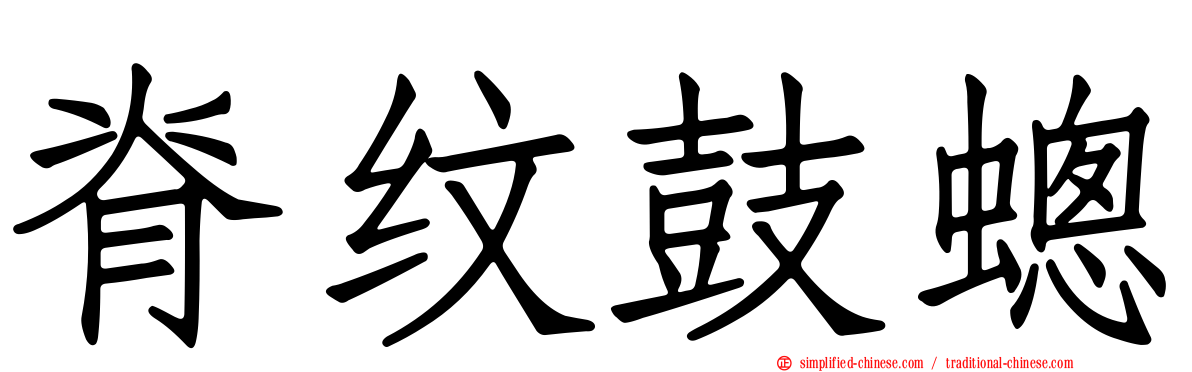 脊纹鼓蟌
