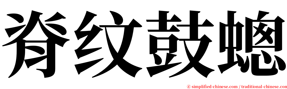 脊纹鼓蟌 serif font