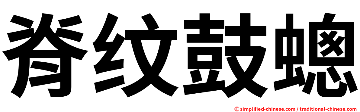 脊纹鼓蟌