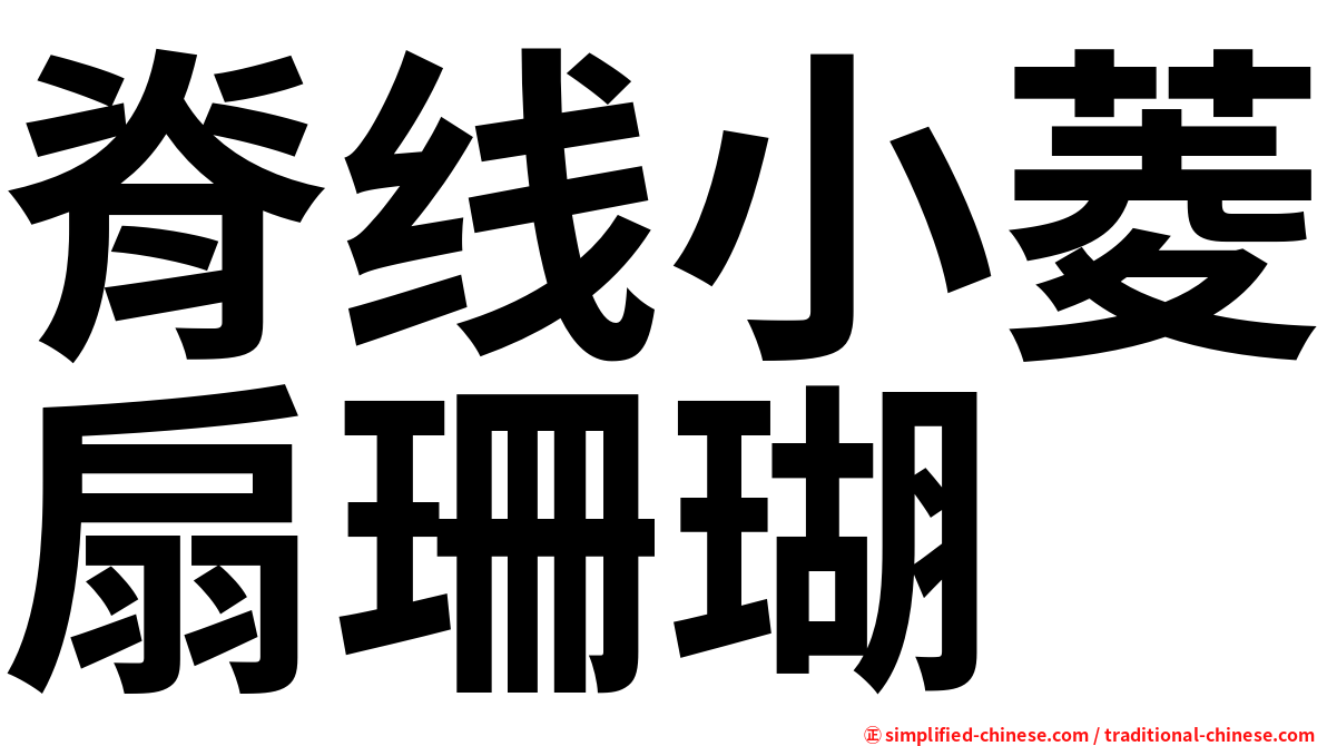 脊线小菱扇珊瑚