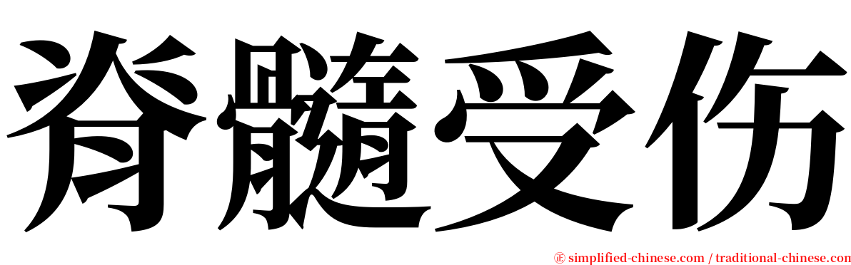 脊髓受伤 serif font