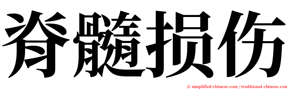 脊髓损伤 serif font