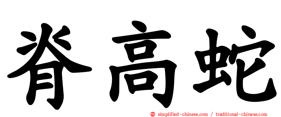 脊高蛇