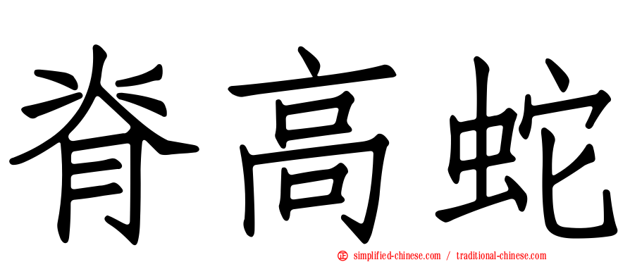 脊高蛇