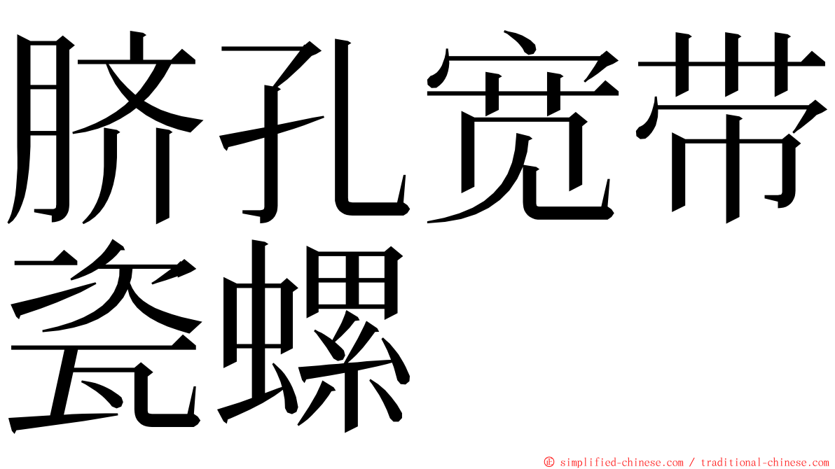 脐孔宽带瓷螺 ming font