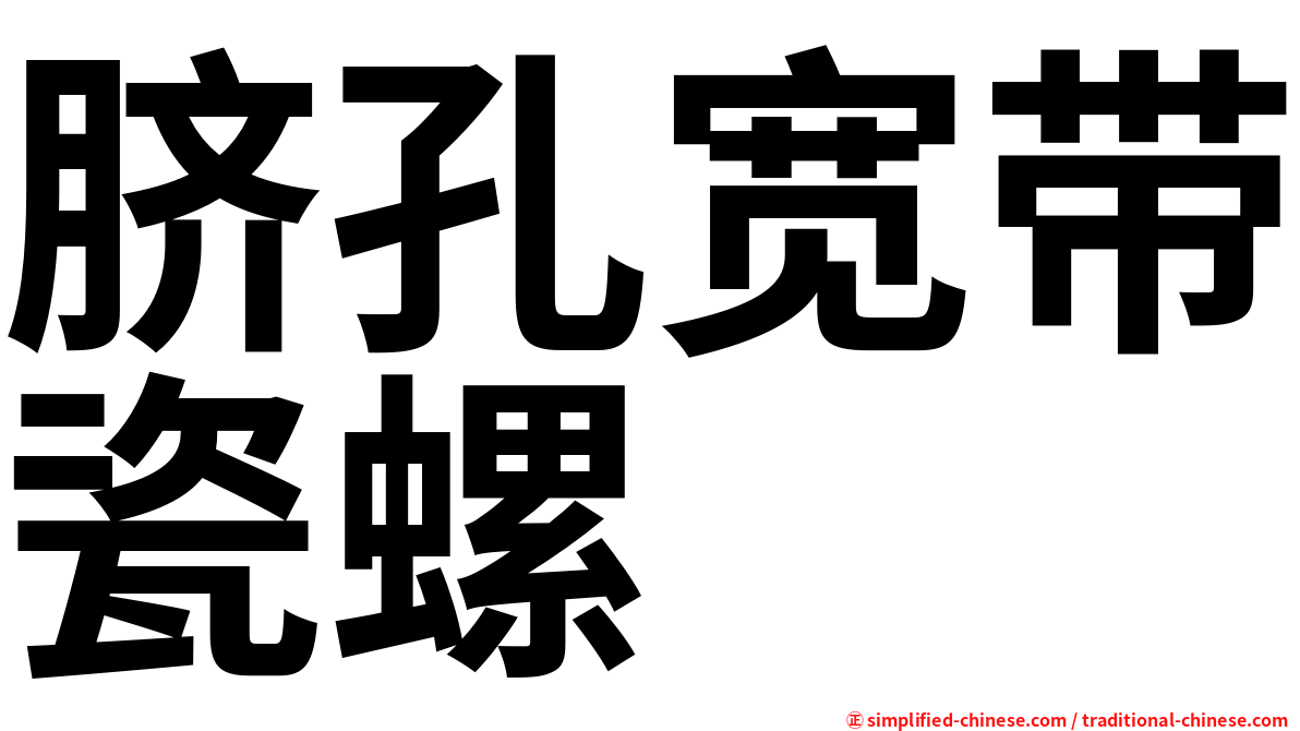 脐孔宽带瓷螺