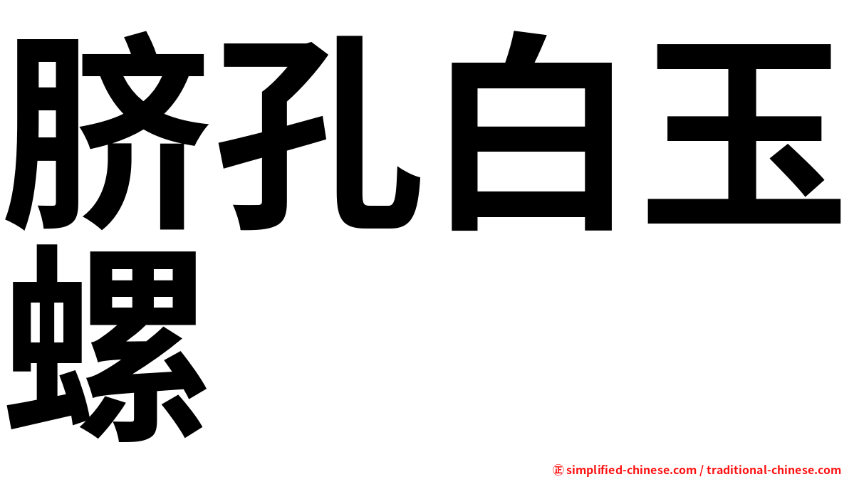 脐孔白玉螺