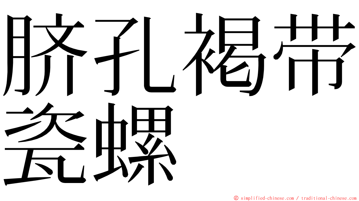 脐孔褐带瓷螺 ming font