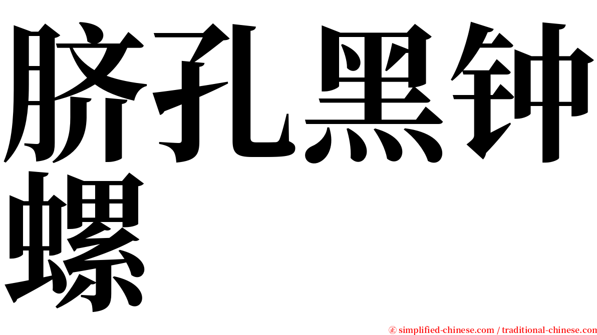脐孔黑钟螺 serif font