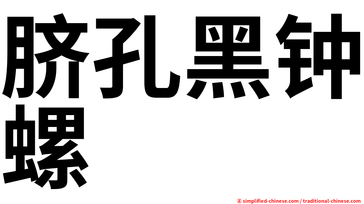 脐孔黑钟螺