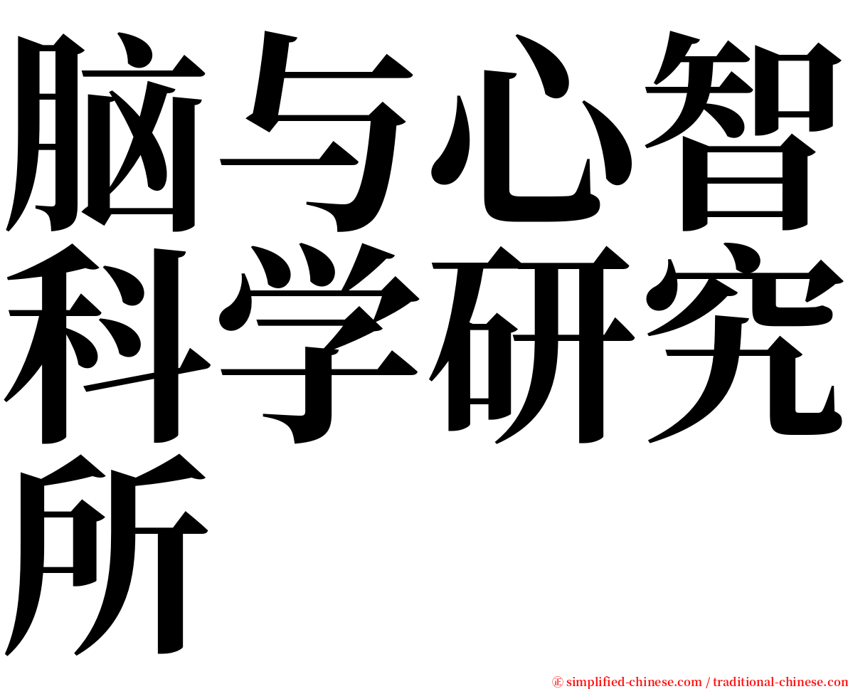 脑与心智科学研究所 serif font