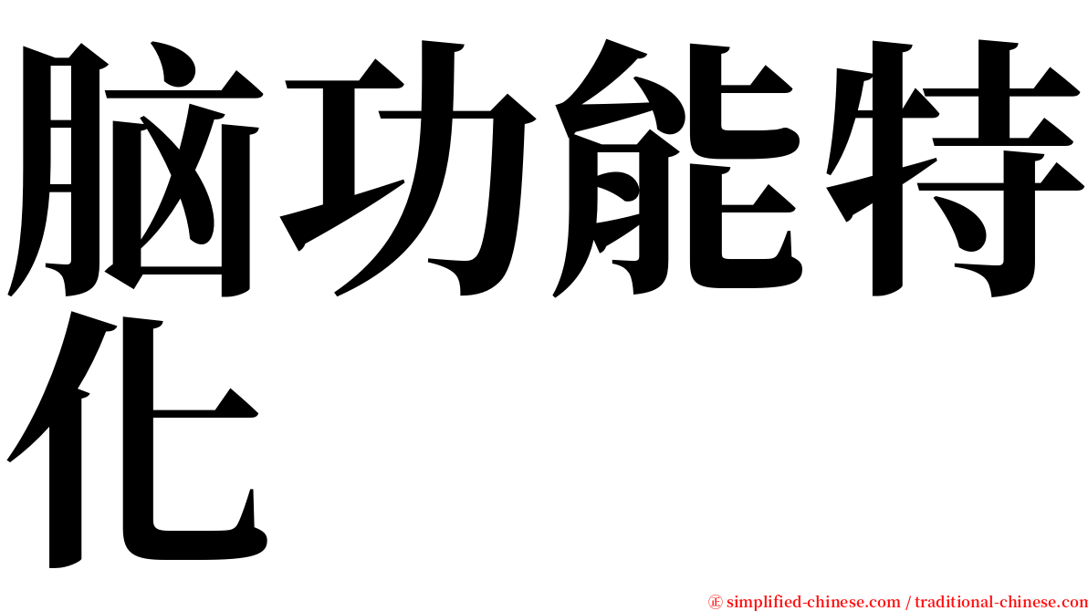 脑功能特化 serif font